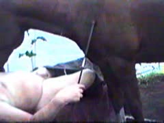 A horse giving a gay whore a blowjob